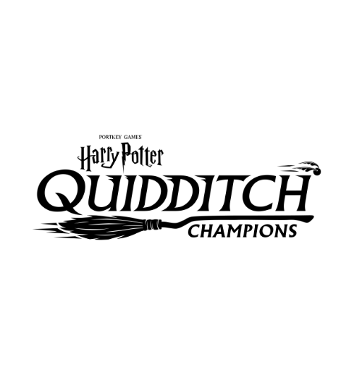 Quidditch Champions